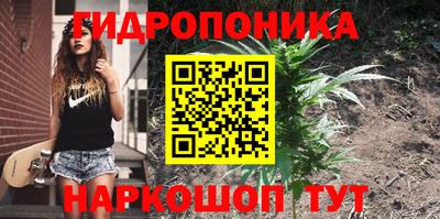 ECSTASY Тулун