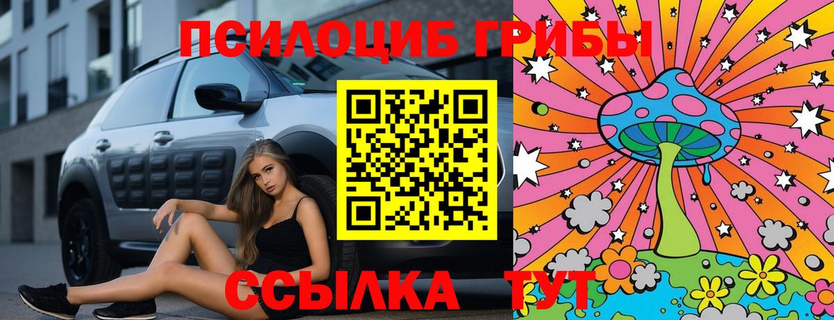 Новоалтайск  Галлюциногенные грибы Psilocybine cubensis  Вход с VPN 